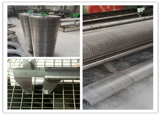 1/2 &quot; 18G Stainless Steel Welded Wire Mesh Rolls