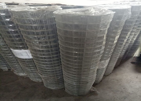 2&quot;X2&quot;  Hot Dipped Galvanized Welded Wire Mesh for Construction, cages, fences