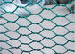 PVC Coated 1/2&quot; X 1/2 &quot; BWG27 0.41mm Hexagonal Wire Netting